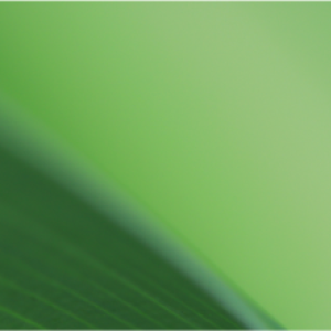 Green gradient background